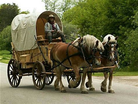Horse Wagon Horse Drawn Wagon Carriage Driving Horse Carriage Big