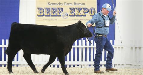 | life insurance and annuity products offered through southern farm bureau life insurance co. Across Kentucky - February 28, 2019 - Kentucky Farm Bureau