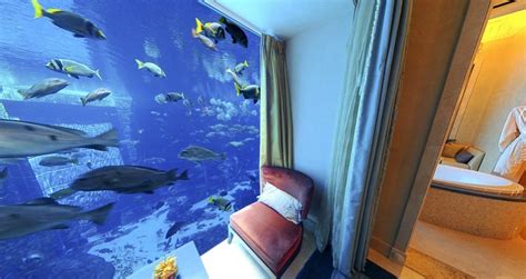 18 Magnificent Aquarium Designs For Your Home With Images Aquarium