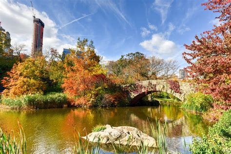 Central Park In Autumn In New York City Stock Image Image Of Scenery