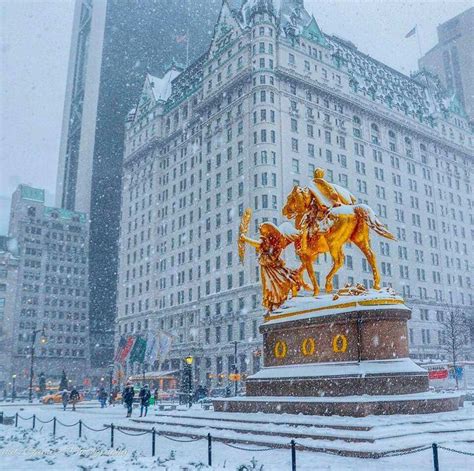 View 168 photos and read 4,677 reviews. The Plaza Hotel, New York