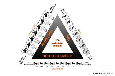 Understanding Shutter Speed A Beginners Guide Camera Harmony