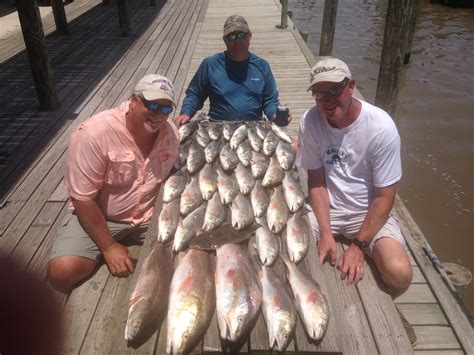 Florida Saltwater Fishing Regulations