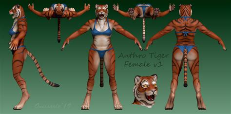 Anthro Tiger Female Version D Model Sheet By Onissarle Fur