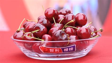 Chilean Cherry Exports Hit 200000 Tons In Seasons First 2 Months