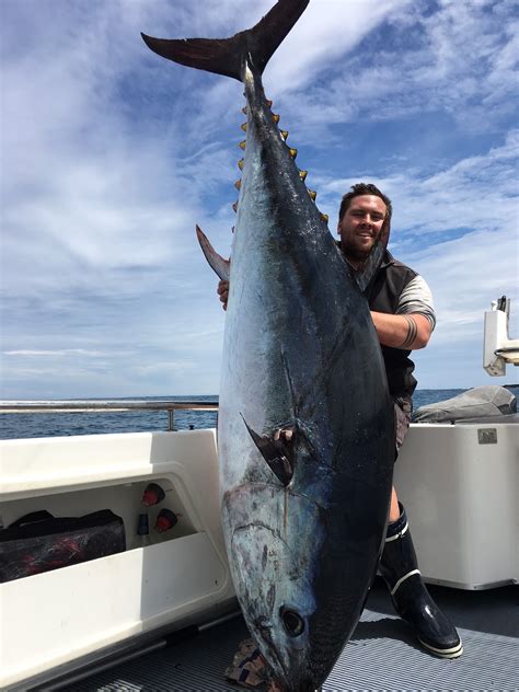 Tuna Fishing Charters Portland Fishing Charters By Red Hot Fishing