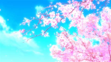 Japanese Aesthetic Cherry Blossom Anime Background Cherry Blossom