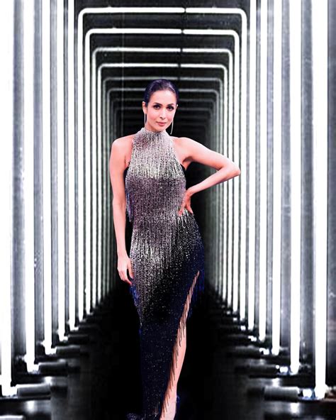 malaika arora s top 5 boldest looks that took the internet by storm pics inside