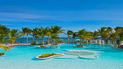 Caribbean Tropical Beaches Resorts Palm Trees Trees Blue Ocean Sandy