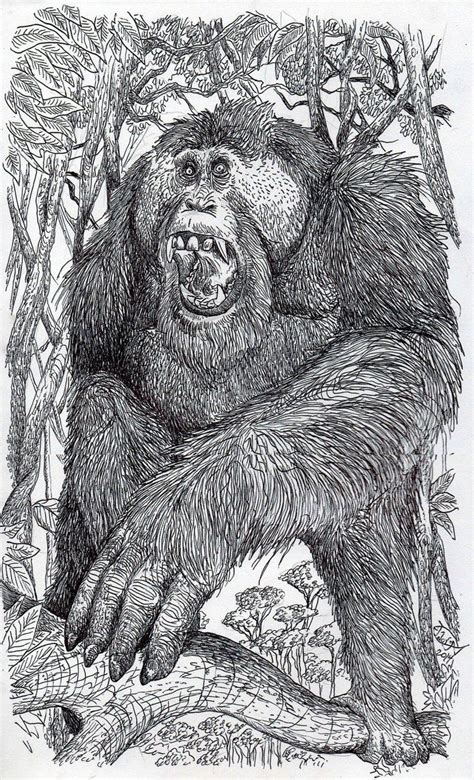 Orangutan By Hodarinundu On Deviantart Orangutan Mammals Animal Art