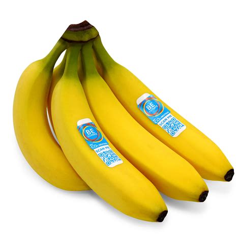 Delhaize verkoopt CO2-neutrale bananen: hoe werkt dat? - Business AM