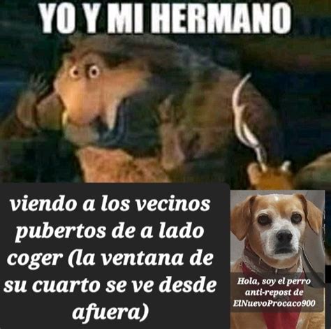 Top Memes De Coger En Español Memedroid