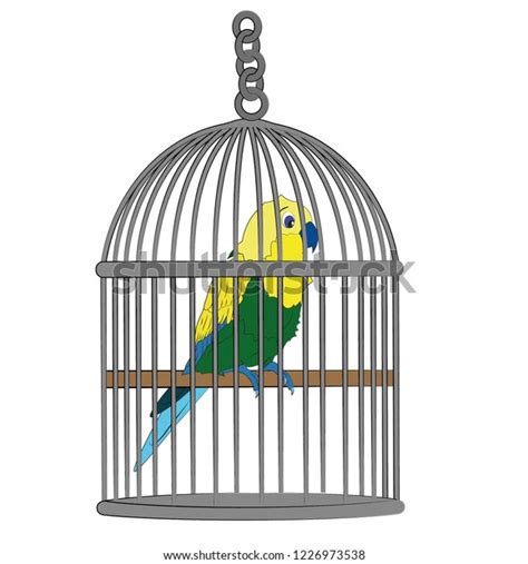 Parrot Cage Vector Illustration Parrot Cage Stock Vector Royalty Free