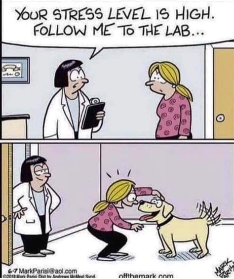 Need More Lab Tests Like This Need More Lab Tests Like This Funny