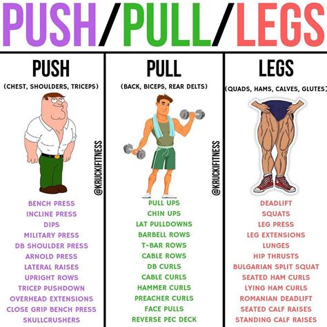 Krucki Fitness On Instagram PUSH PULL LEGS By Kruckifitness If You Are Doing A Push Pull Le