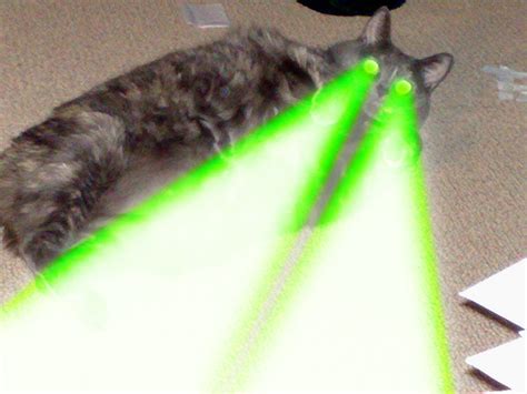 Cybergata More Laser Cats