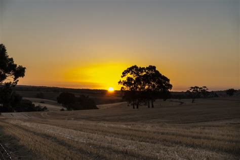 Sunset Over Lyndoch In The Barossa Australian Landscapes Peter Franz