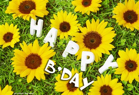 Birthday - Daily eCards, Pictures & Animated GIFs. Greetings for Share.