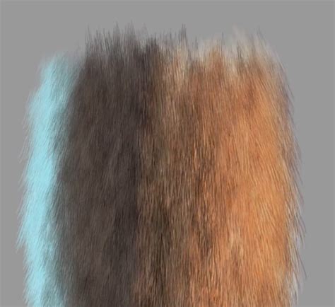Custom Photoshop Brushes Set 5 Directional Fur Brushes