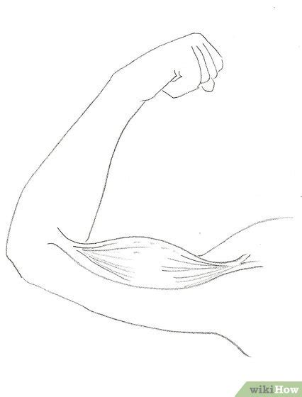 How To Draw Biceps 8 Steps With Pictures Wikihow