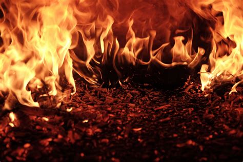 20 Fun Facts About Fire Things You Didnt Know About Fire