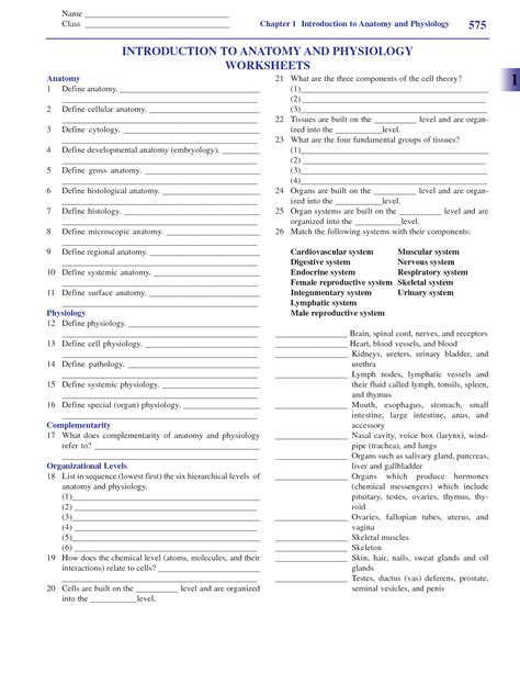 5 Best Images Of Printable College Anatomy Worksheets Anatomy And