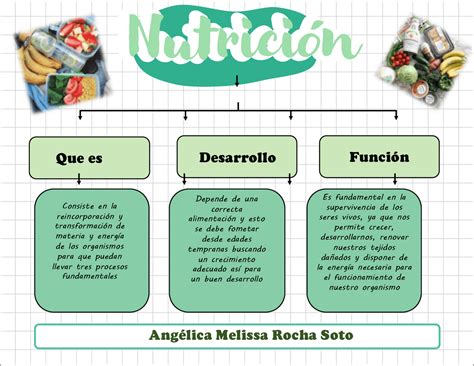 Mapa Conceptual De La Nutrición Docsity