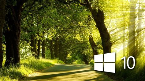 Windows 10 in the sunny forest wallpaper - Computer wallpapers - #48402