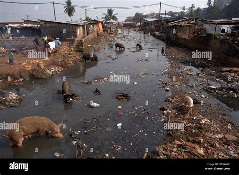 Kroo Bay Slum Freetown Sierra Leone West Africa Stock Photo Royalty