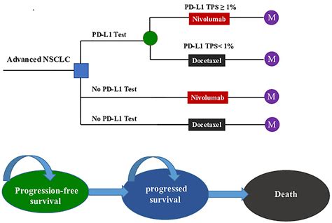 Frontiers Pd L Test Based Strategy With Nivolumab As The Second Line