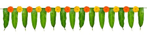 Indian Flower Garland Of Mango Leaves And Marigold Flowers Ugadi Diwali