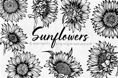 Sunflowers Line Art Svg Outline Sunflowers Svg Floral Svg Etsy