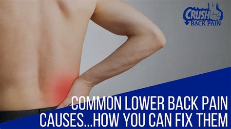 How You Can Fix Common Lower Back Pain Causes Youtube