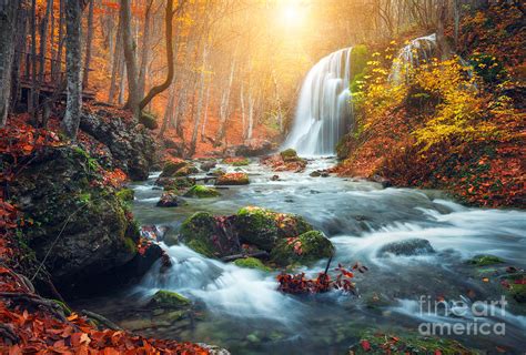 Top More Than 161 Forest Waterfall Wallpaper Hd Super Hot Vn
