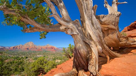 Sedona Vacations 2017 Package And Save Up To 603 Expedia