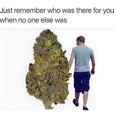 Weed Memes Of 2023