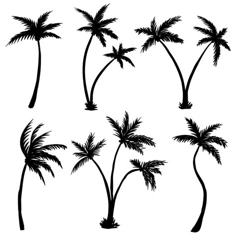 Premium Vector Coconut Palm Tree Silhouette Illustration