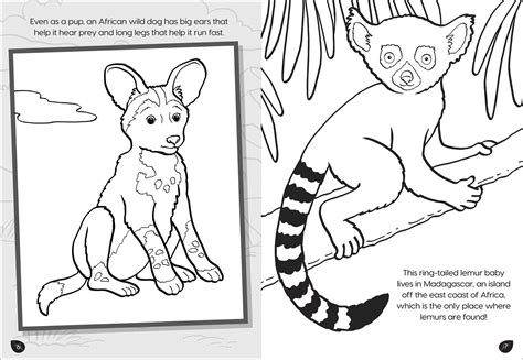 Animal Planet Wild Baby Animals Coloring Book Book By Editors Of