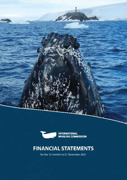 Iwcfinancialreport2021finalpdf