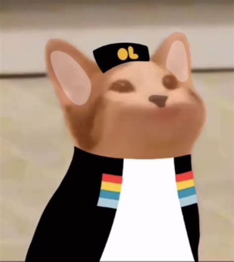 Popcats is messing the night, you must stop them. Dream Smp Cat Pfp - DRAEMT