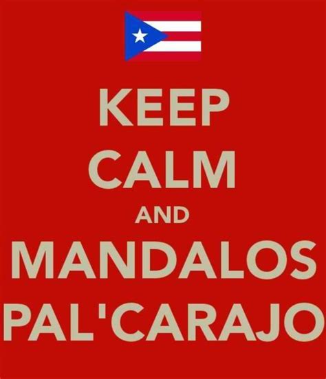 puerto rican quotes in english quotesgram