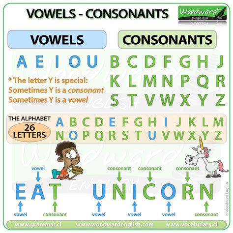 Vowels and Consonants 大特価