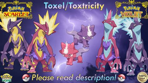 Shiny non shiny Toxel toxtricity IV Pokémon Scarlet violet Legal Etsy Hong Kong