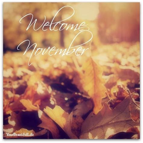 Sweet November Sweet November Fall Feels Welcome November
