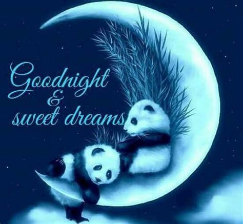 Goodnight And Sweet Dreams Pictures Photos And Images For Facebook
