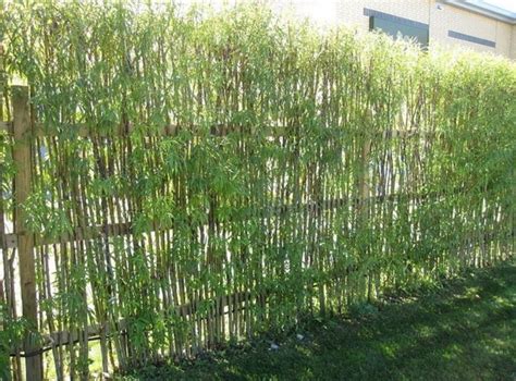 Gallery featuring images and descriptions of 21 bamboo fence ideas for residential houses, showcasing the startling variety and quality of bamboo fencing. http://momenticons.com/wp-content/uploads/2015/04/Bamboo ...