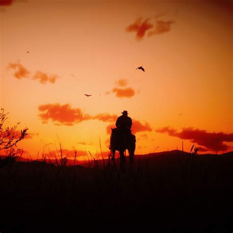 1080x1080 Red Dead Redemption 2 Horizontal Cool 1080x1080 Resolution
