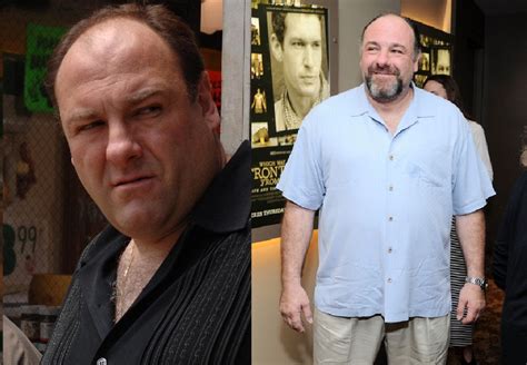 What Happened To The Cast Of The Sopranos Curated Magazine