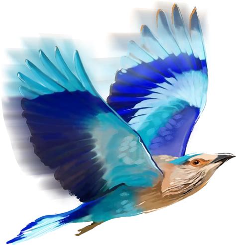 Free Blue Bird Transparent Background Download Free Blue Bird