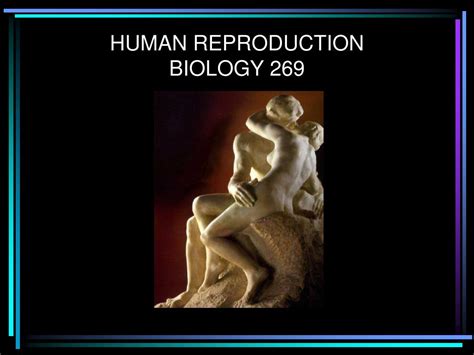 Ppt Human Reproduction Biology 269 Powerpoint Presentation Free Download Id 1084548